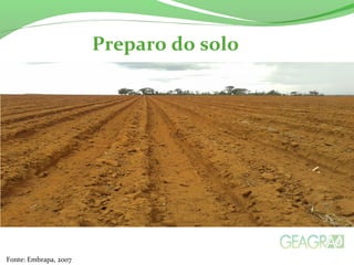 Preparo do solo
Fonte: Embrapa, 2007
 