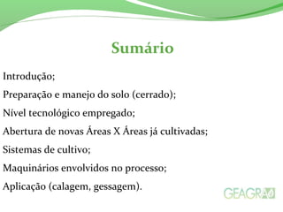 Introdução;
Preparação e manejo do solo (cerrado);
Nível tecnológico empregado;
Abertura de novas Áreas X Áreas já cultivadas;
Sistemas de cultivo;
Maquinários envolvidos no processo;
Aplicação (calagem, gessagem).
 
