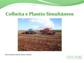 Fonte: Revista Plantio Direto (online)
Colheita e Plantio Simultâneos
 
