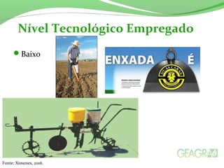 Baixo
Nível Tecnológico Empregado
Fonte: Ximenes, 2016.
 