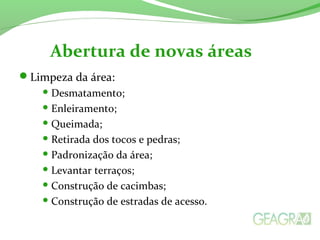 Limpeza da área:
 Desmatamento;
 Enleiramento;
 Queimada;
 Retirada dos tocos e pedras;
 Padronização da área;
 Levantar terraços;
 Construção de cacimbas;
 Construção de estradas de acesso.
Abertura de novas áreas
 