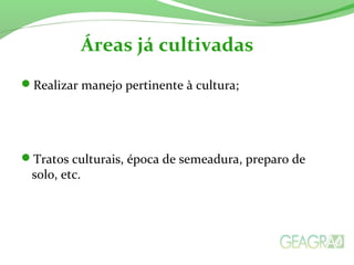 Realizar manejo pertinente à cultura;
Tratos culturais, época de semeadura, preparo de
solo, etc.
Áreas já cultivadas
 