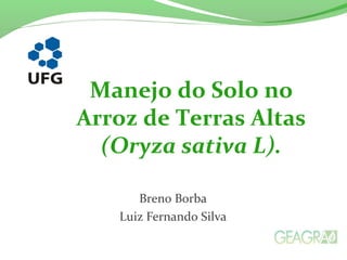 Breno Borba
Luiz Fernando Silva
Manejo do Solo no
Arroz de Terras Altas
(Oryza sativa L).
 