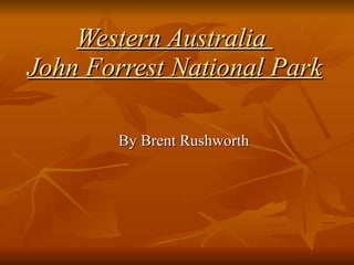 Western Australia  John Forrest National Park By Brent Rushworth 