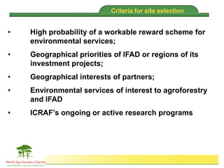 Brent Swallow 6th October