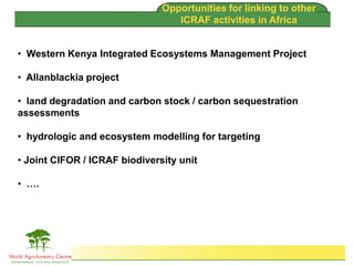 Brent Swallow 6th October