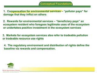 Brent Swallow 6th October