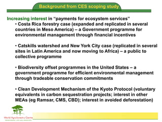 Brent Swallow 6th October