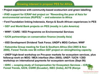 Brent Swallow 6th October