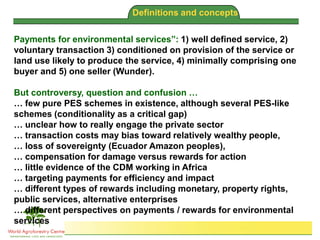 Brent Swallow 6th October