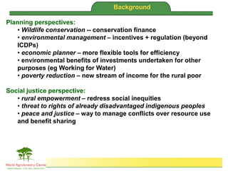 Brent Swallow 6th October