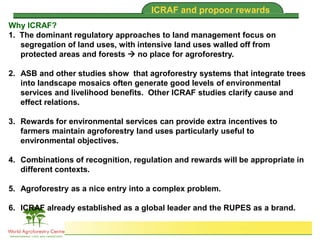 Brent Swallow 6th October