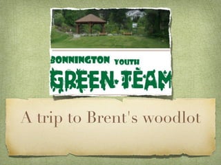 A trip to Brent's woodlot
 