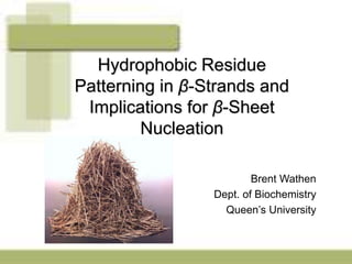 Hydrophobic Residue
Patterning in β-Strands and
Implications for β-Sheet
Nucleation
Brent Wathen
Dept. of Biochemistry
Queen’s University
 