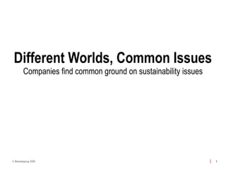 Different Worlds, Common Issues Companies find common ground on sustainability issues 