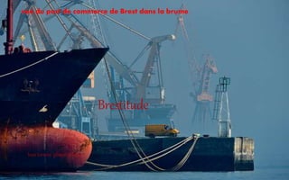 vue du port de commerce de Brest dans la brume
Brestitude
Ivan torrent: glimer of hope
 