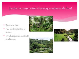  Botanische tuin
 1700 soorten planten, 32
hectare.
 1977; bedreigende soorten te
beschermen.
Jardin du conservatoire botanique national de Brest
 