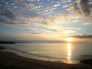 Le miraculeux, voyage de l’ amour
 