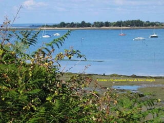 Comme s’ils buvaient l’eau de leurs visages
 