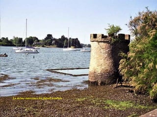 La même innocence les faisait trembler
 