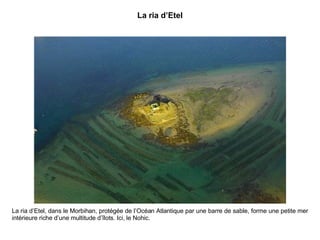 La ria d’Etel La ria d’Etel, dans le Morbihan, protégée de l’Océan Atlantique par une barre de sable, forme une petite mer intérieure riche d’une multitude d’îlots. Ici, le Nohic. 