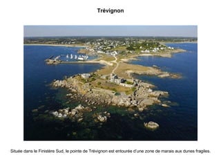 Trévignon Située dans le Finistère Sud, le pointe de Trévignon est entourée d’une zone de marais aux dunes fragiles. 
