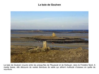 La baie de Goulven La baie de Goulven s’ouvre entre les presqu’îles de Plouescat et de Kerlouan, dans le Finistère Nord. A marée basse, elle découvre de vastes étendues de sable qui attirent multitude d’oiseaux en quête de nourriture. 