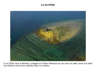 La ria d’Etel

La ria d’Etel, dans le Morbihan, protégée de l’Océan Atlantique par une barre de sable, forme une petite
mer intérieure riche d’une multitude d’îlots. Ici, le Nohic.

 