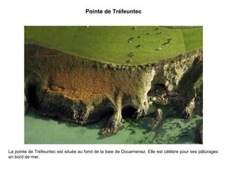 Pointe de Tréfeuntec

La pointe de Tréfeuntec est située au fond de la baie de Douarnenez. Elle est célèbre pour ses pâturages
en bord de mer.

 