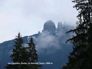 Les Carpates, Durău, Le Sommet Toaca, 1900 m
 