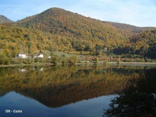 Olt - Cozia
 