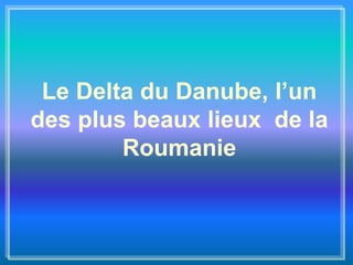 Le Delta du Danube, l’un
des plus beaux lieux de la
Roumanie
 