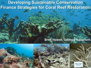 Developing Sustainable Conservation
Finance Strategies for Coral Reef Restoration




                      Brett Howell, Georgia Aquarium
 