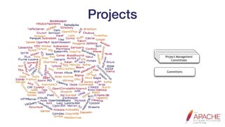 Projects
Project Management
Committees
Project Management
Committees
Project Management
Committees
Project Management
Committees
Committers
 