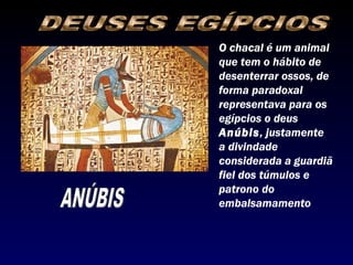 O chacal é um animal
que tem o hábito de
desenterrar ossos, de
forma paradoxal
representava para os
egípcios o deus
Anúbis, justamente
a divindade
considerada a guardiã
fiel dos túmulos e
patrono do
embalsamamento
 