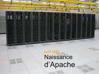 avril 1995 Naissance  d’Apache 