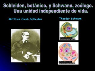 Matthias Jacob Schleiden     Theodor Schwann Schleiden, botánico, y Schwann, zoólogo.  Una unidad independiente de vida. 