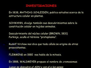 En 1838, MATHIAS SCHLEIDEN, publica estudios acerca de la estructura celular en plantas. SCHWANN, divulgo también sus descubrimientos sobre la constitución celular en tejidos animales. Descubrimiento del núcleo celular (BROWN, 1831)  Purkinje, acuña el término "protoplasma“. Rudolf Virchow nos dice que toda célula se origina de otras preexistentes. FLEMMING en 1880  nos habla de la mitosis. En 1888, WALDMEYER propuso el nombre de  cromosomas. Luego se descubre el ADN y con el a los genes.   INVESTIGACIONES 