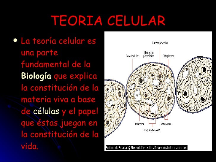 Breve historia de la citología Breve historia de la citología
