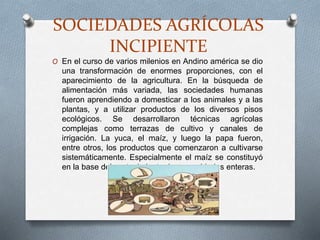 SOCIEDADES AGRÍCOLAS
INCIPIENTE
O En el curso de varios milenios en Andino américa se dio
una transformación de enormes proporciones, con el
aparecimiento de la agricultura. En la búsqueda de
alimentación más variada, las sociedades humanas
fueron aprendiendo a domesticar a los animales y a las
plantas, y a utilizar productos de los diversos pisos
ecológicos. Se desarrollaron técnicas agrícolas
complejas como terrazas de cultivo y canales de
irrigación. La yuca, el maíz, y luego la papa fueron,
entre otros, los productos que comenzaron a cultivarse
sistemáticamente. Especialmente el maíz se constituyó
en la base del sostenimiento de comunidades enteras.
 