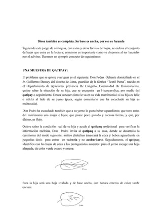 Breve informe de la coca