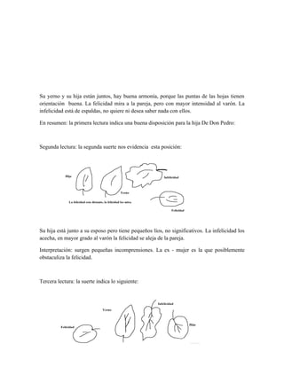 Breve informe de la coca