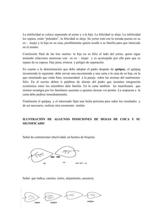 Breve informe de la coca