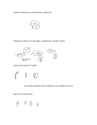 Breve informe de la coca