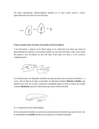 Breve informe de la coca