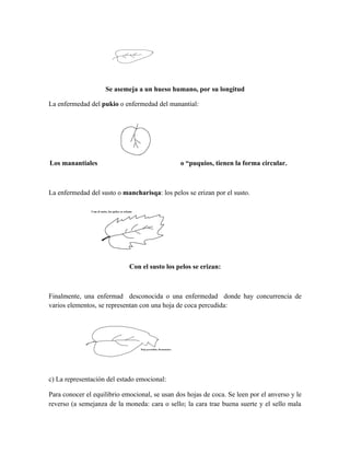 Breve informe de la coca