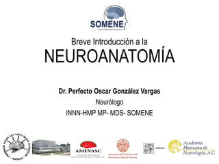 Dr. Perfecto Oscar González Vargas
Neurólogo
INNN-HMP MP- MDS- SOMENE
Breve Introducción a la
NEUROANATOMÍA
 