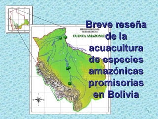 Breve reseña
                     de la
                 acuacultura
                 de especies
                 amazónicas
                 promisorias
                  en Bolivia
H. De la Quintana / AISAI       1
 