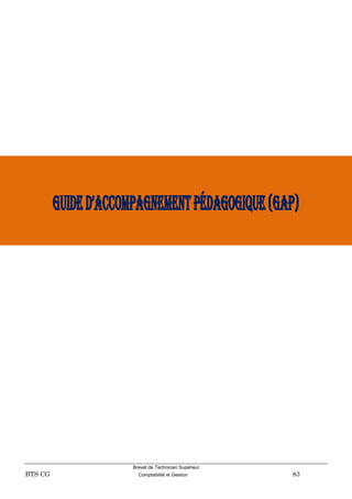 Brevet de Technicien Supérieur
BTS CG Comptabilité et Gestion 83
Guided’AccompAGnementpédAGoGique(GAp)
 