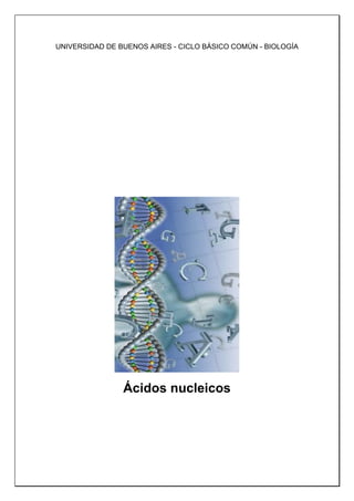 UNIVERSIDAD DE BUENOS AIRES - CICLO BÁSICO COMÚN - BIOLOGÍA 
Ácidos nucleicos 
 